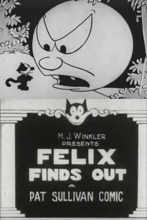 Felix Finds Out 1924 official movie poster