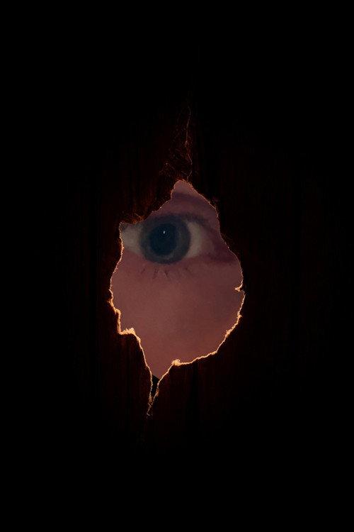 The Golden Monkey  official movie poster