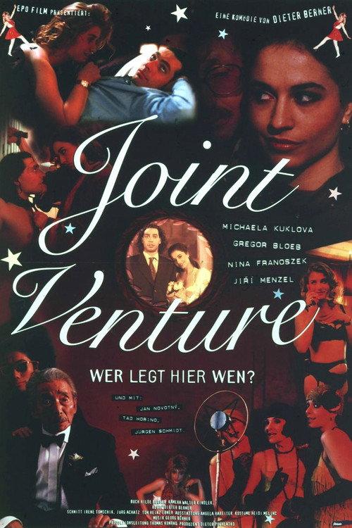 Joint Venture 1995 official movie poster