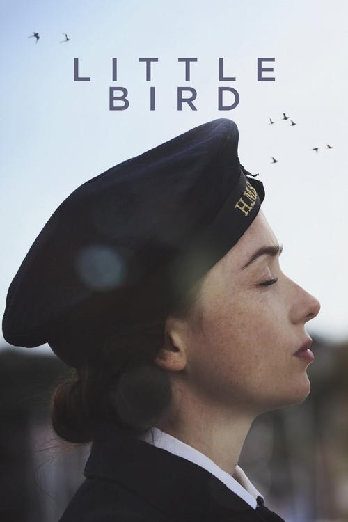 Little Bird 2017 official movie poster