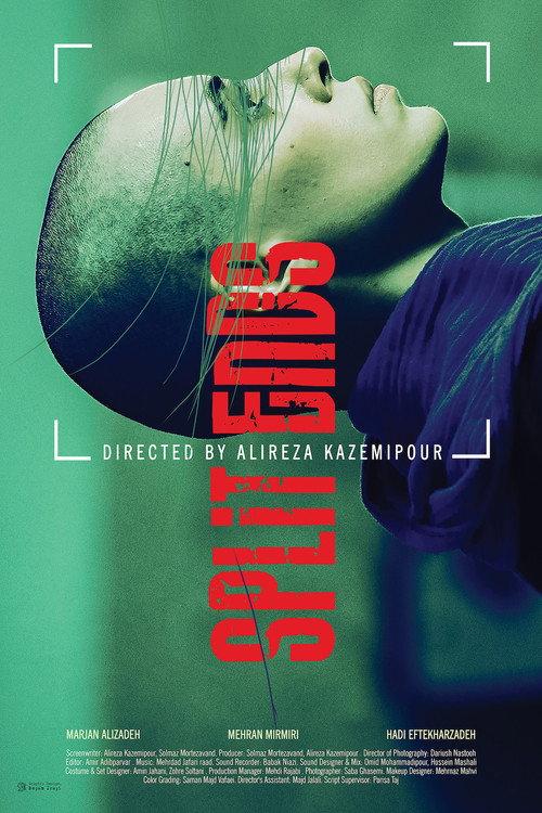 Split Ends 2021 official movie poster