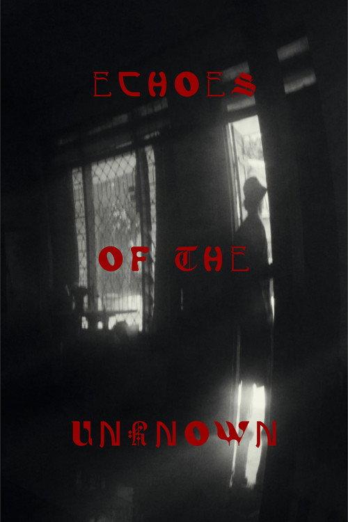 Echoes Of The Unknown 2024 official movie poster