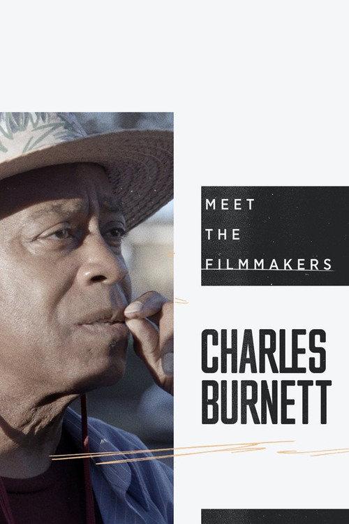 A Walk with Charles Burnett 2019 official movie poster
