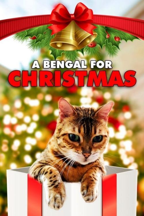 A Bengal for Christmas 2023 official movie poster