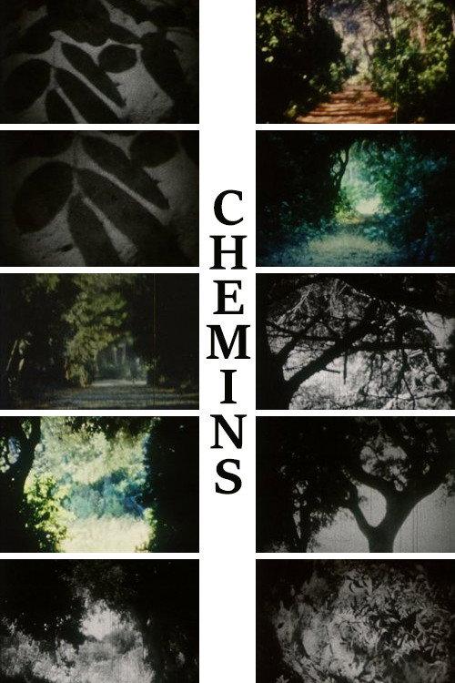 Chemins 2014 official movie poster