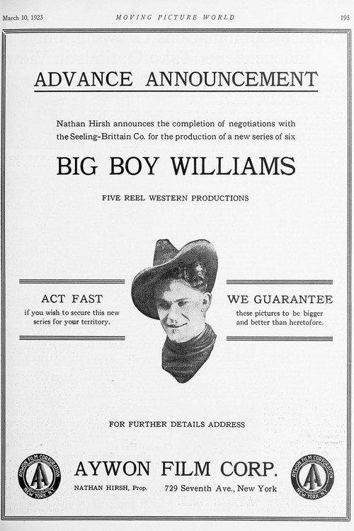 The Avenger 1924 official movie poster