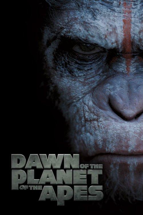 Dawn of the Planet of the Apes 2014 official movie poster