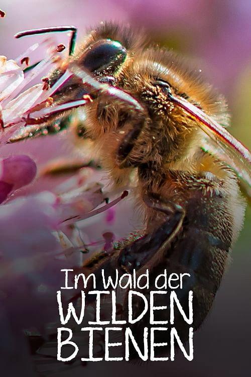 Im Wald der wilden Bienen 2022 official movie poster