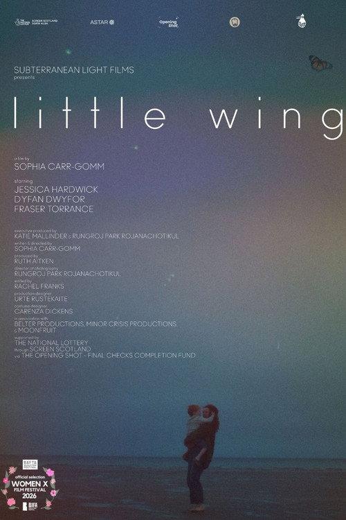 Little Wing 2026 official movie poster