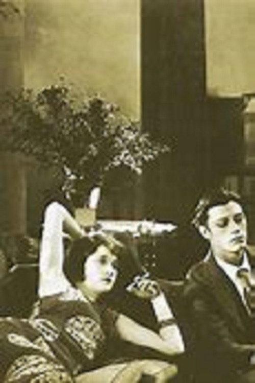 Sinners in Silk 1924 official movie poster