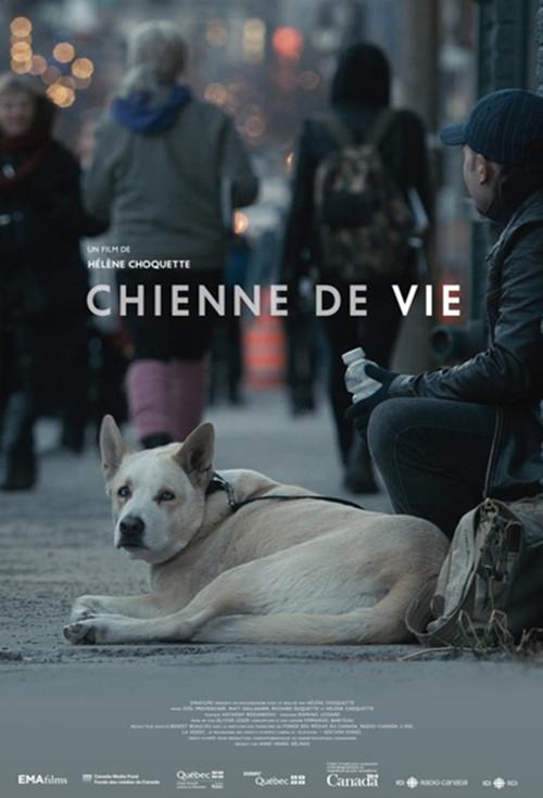 A Dog's Life 2016 official movie poster