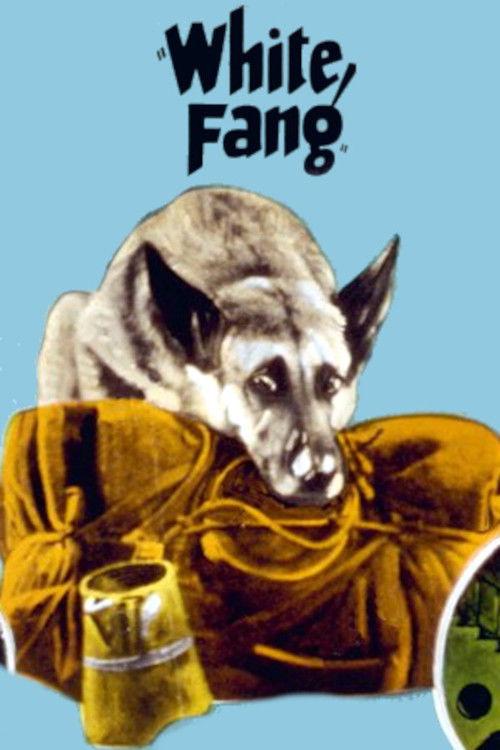 White Fang 1925 official movie poster