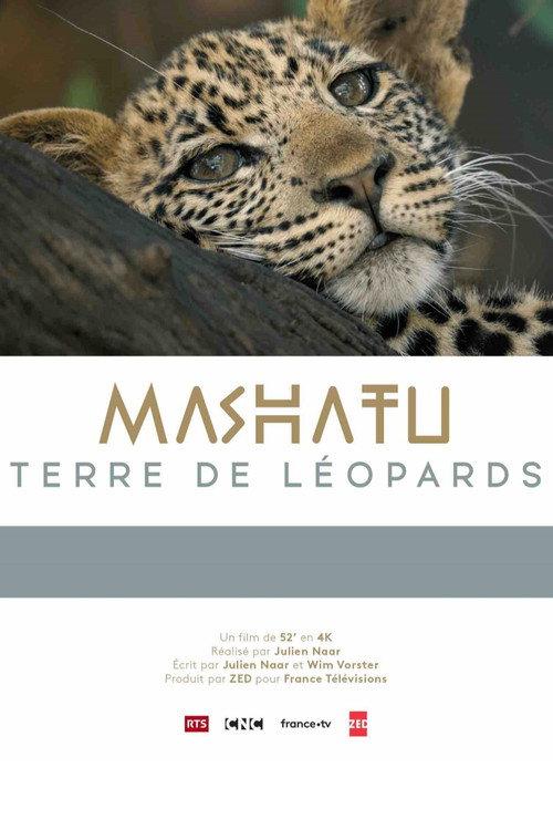 Mashatu: Land of Leopards 2024 official movie poster