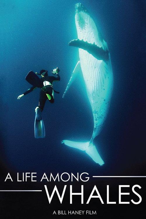A Life Among Whales 2005 official movie poster