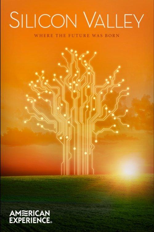 Silicon Valley 2013 official movie poster