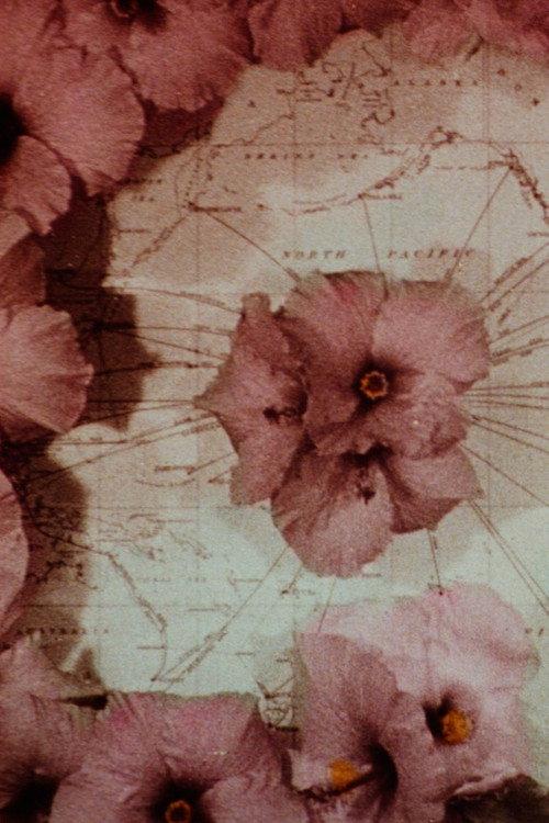 The Beauty Thief 1920 official movie poster