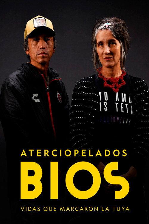 Bios, vidas que marcaron la tuya: Aterciopelados 2022 official movie poster