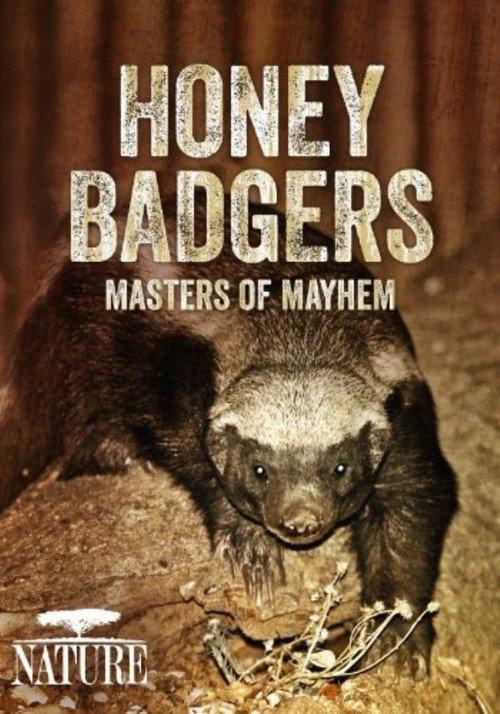 Honey Badgers: Masters of Mayhem 2014 official movie poster