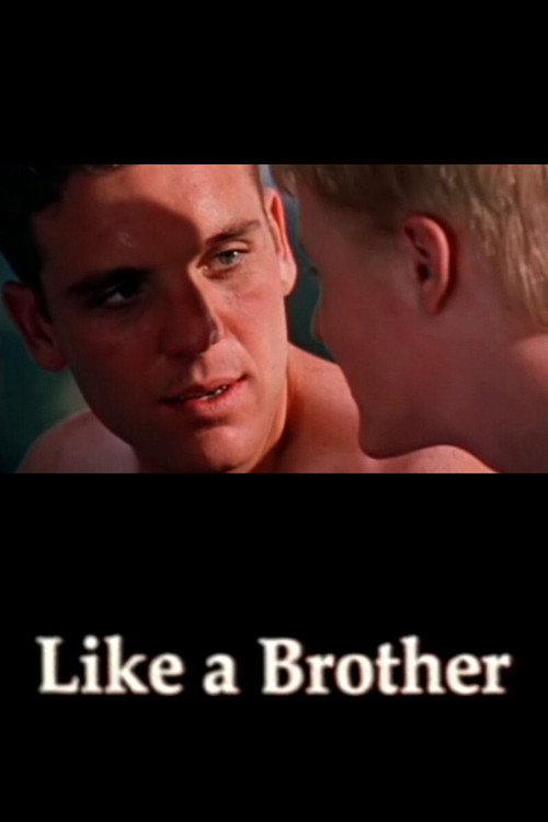 Like a Brother 2002 official movie poster