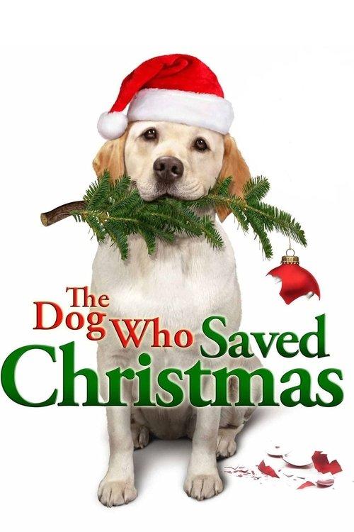 The Dog Who Saved Christmas 2009 official movie poster