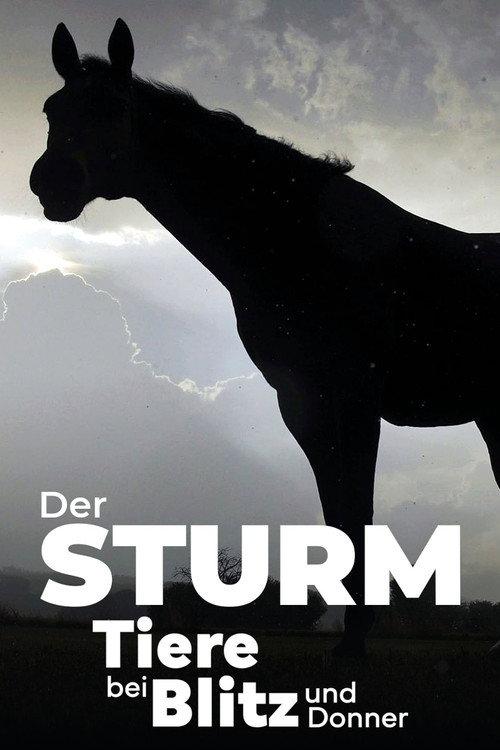 Der Sturm - Tiere bei Blitz und Donner 2023 official movie poster