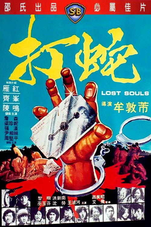 Lost Souls 1980 official movie poster