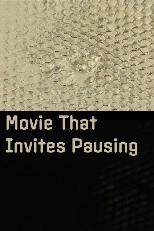 Movie That Invites Pausing 2020 official movie poster