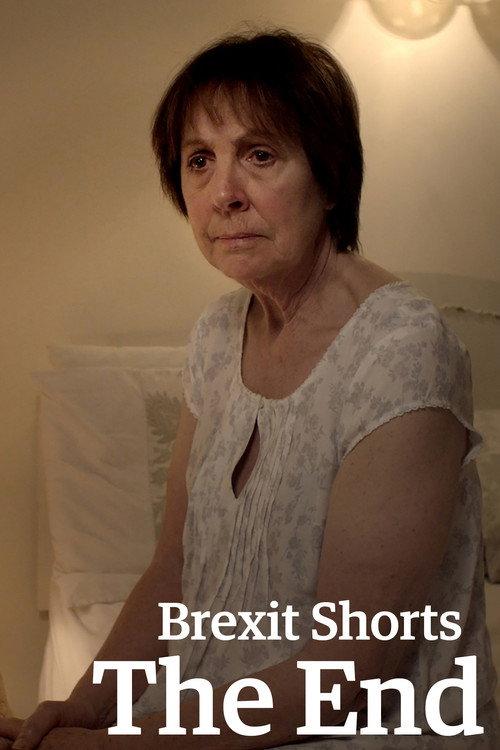 Brexit Shorts: The End 2017 official movie poster