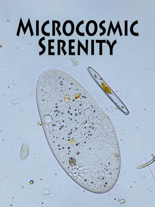 Microcosmic Serenity  official movie poster