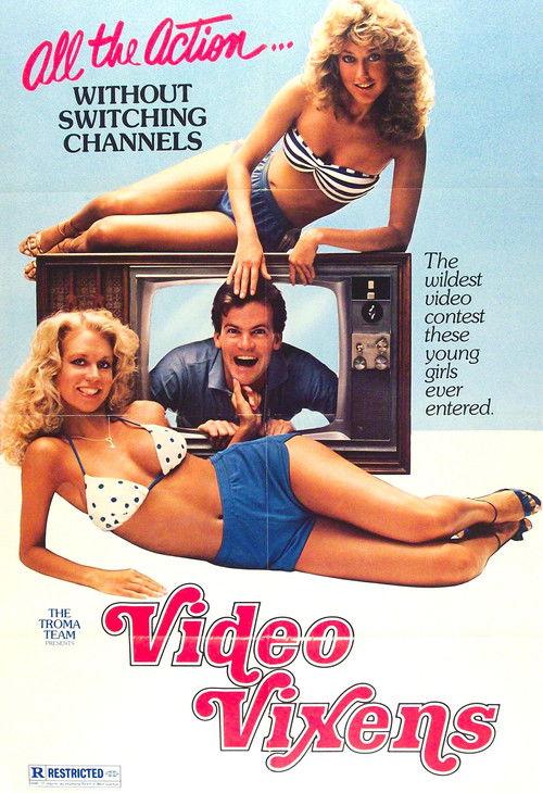 Video Vixens! 1975 official movie poster