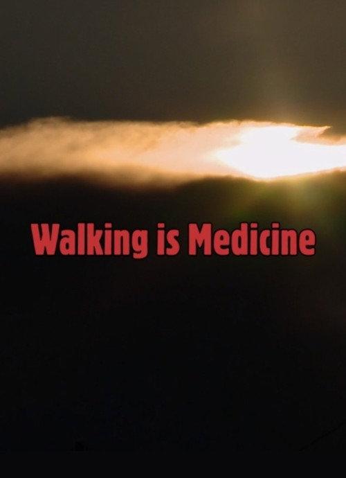 Walking Is Medicine 2017 official movie poster