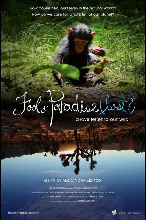 Fools' Paradise (lost?) 2024 official movie poster