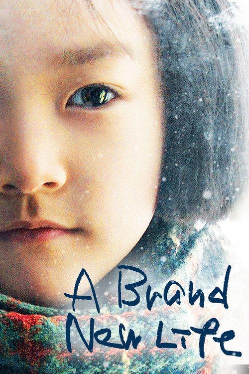 A Brand New Life 2009 official movie poster