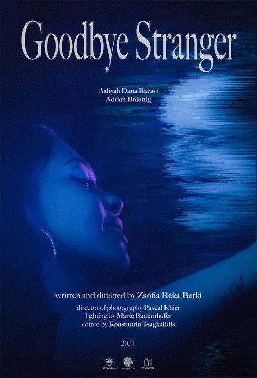 Goodbye Stranger 2025 official movie poster