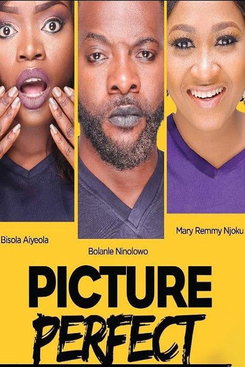 Picture Perfect 2016 official movie poster