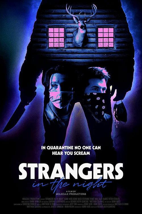 Strangers in the Night 2021 official movie poster