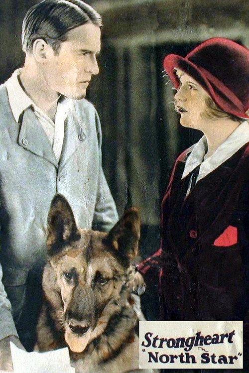 North Star 1925 official movie poster