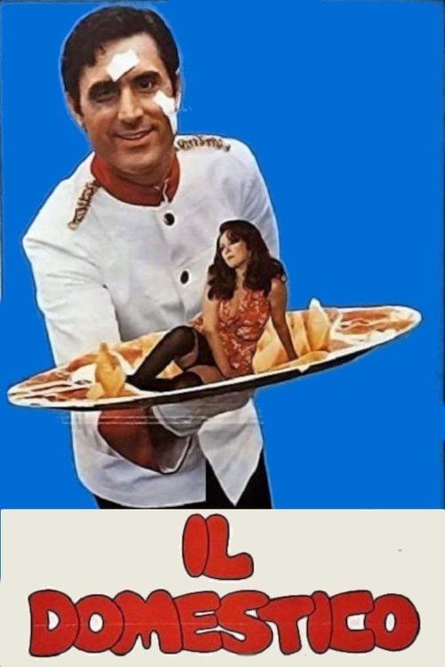 The Household 1974 official movie poster