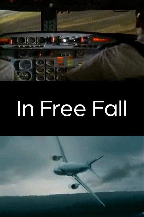 In Free Fall 2010 official movie poster