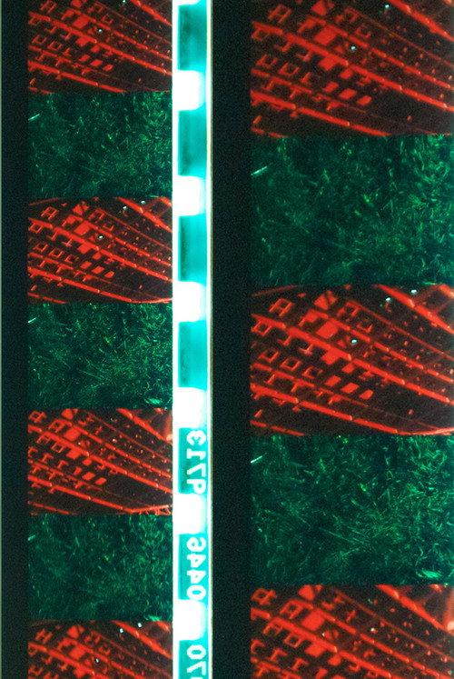 Red Green 2012 official movie poster