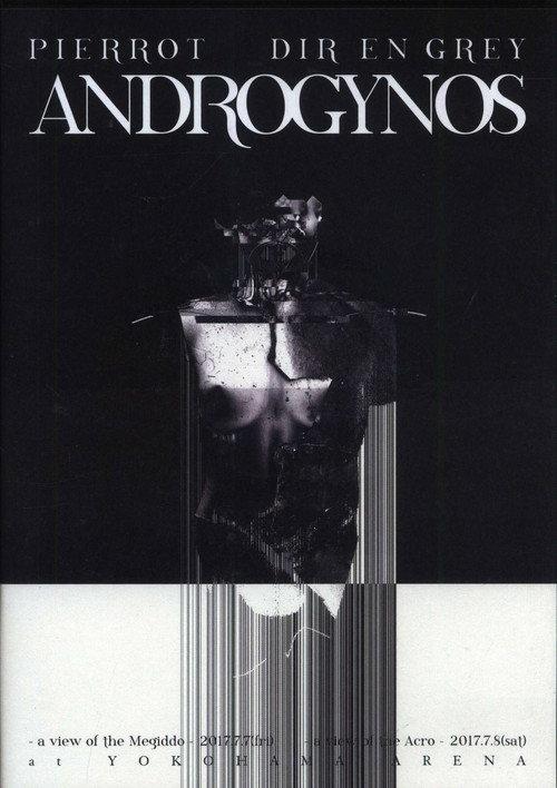 Androgynos 2017 official movie poster