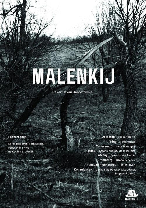 Malenkij 2025 official movie poster