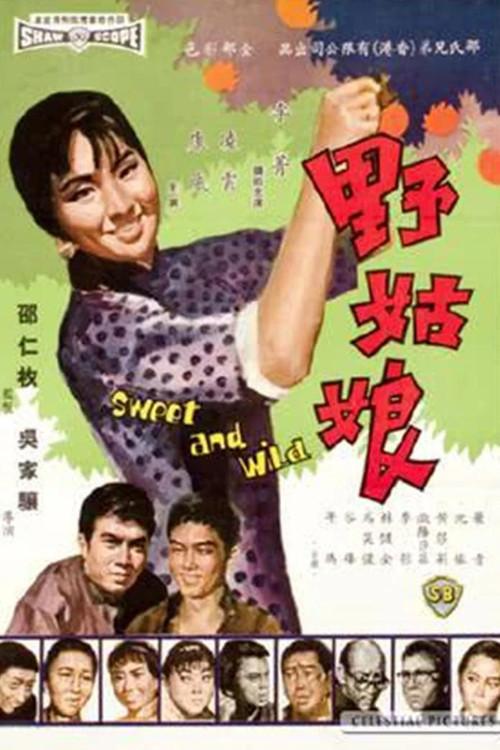 Sweet and Wild 1966 official movie poster
