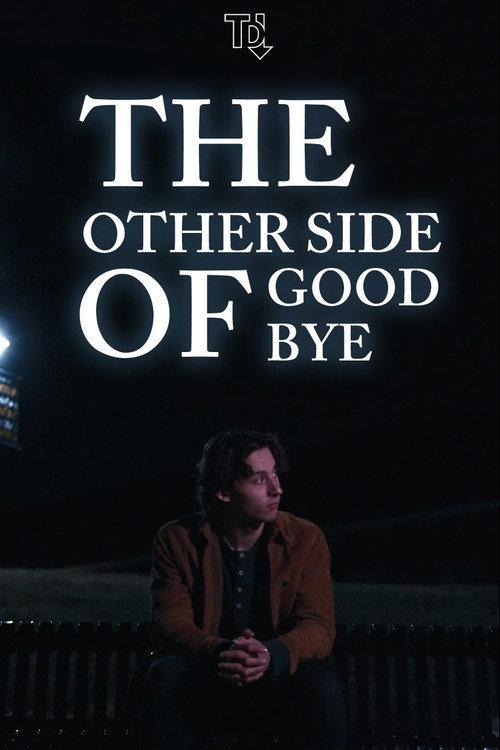 The Other Side of Goodbye 2025 official movie poster