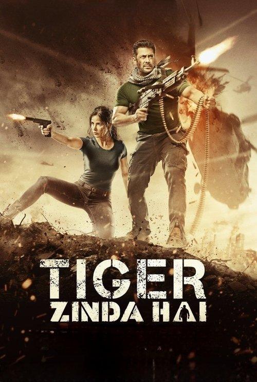 Tiger Zinda Hai 2017 official movie poster
