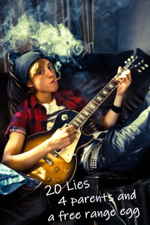 20 Lies, 4 Parents and a Little Egg 2013 official movie poster
