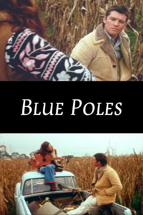 Blue Poles 2004 official movie poster