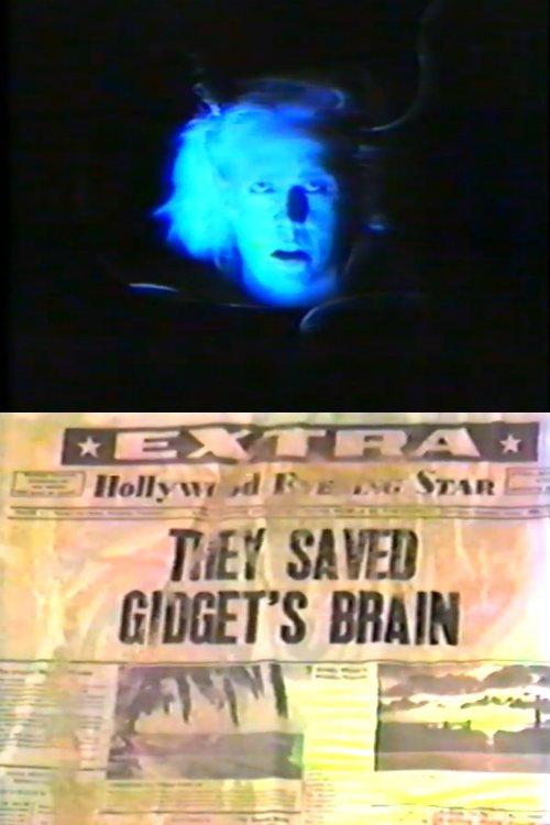 They Saved Gidget's Brain 1984 official movie poster