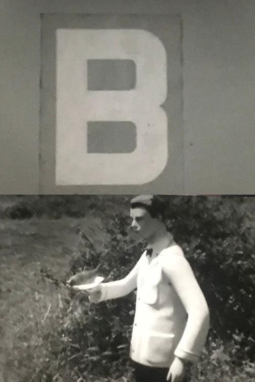 B 1969 official movie poster