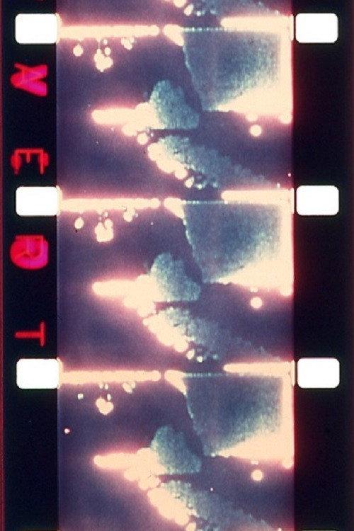 The Politics of Perception 1973 official movie poster